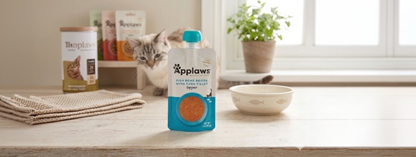 Cat Snack